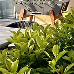 Hotel Og Pavillon Beziers