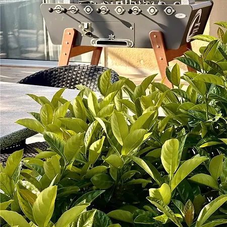 Hotel Og Pavillon Beziers